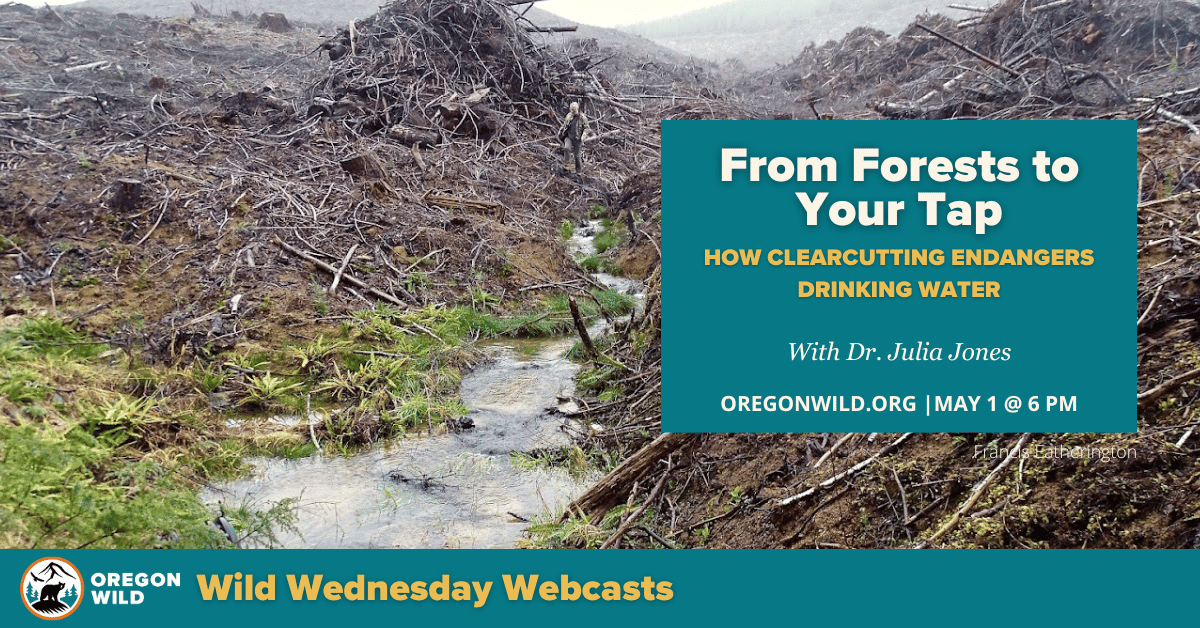 Webcast banner: From Forests to Your Tap