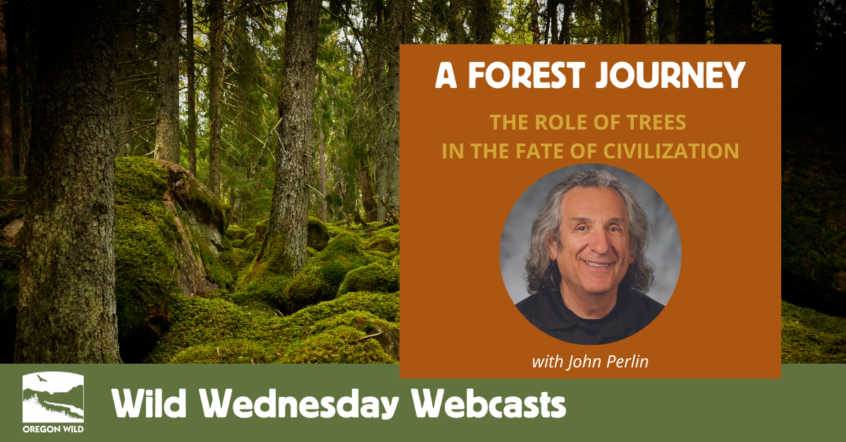 Webcast: A Forest Journey - The Role of Trees in the Fate of Civilization