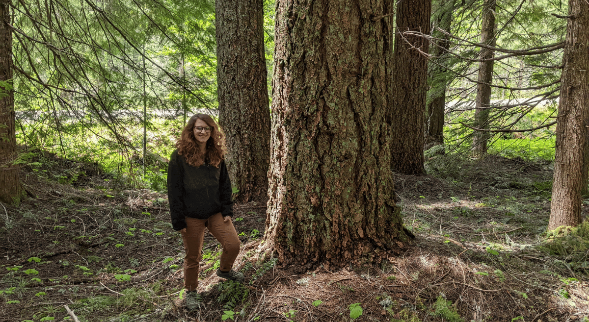 A woman stands beside a huge Dour fir tree in the Flat Country logging sale