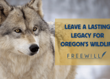 A wolf looks toward the camera with the text: leave a lasting legacy for Oregon's wildlife - freewill logo